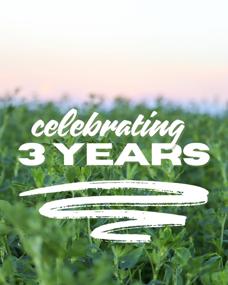 celebrating (Instagram Post (45))